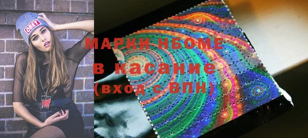 шишки Горняк